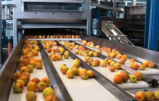 Machines designed primarily to remove dirt (dust, soil, chemical residue) or organic materials